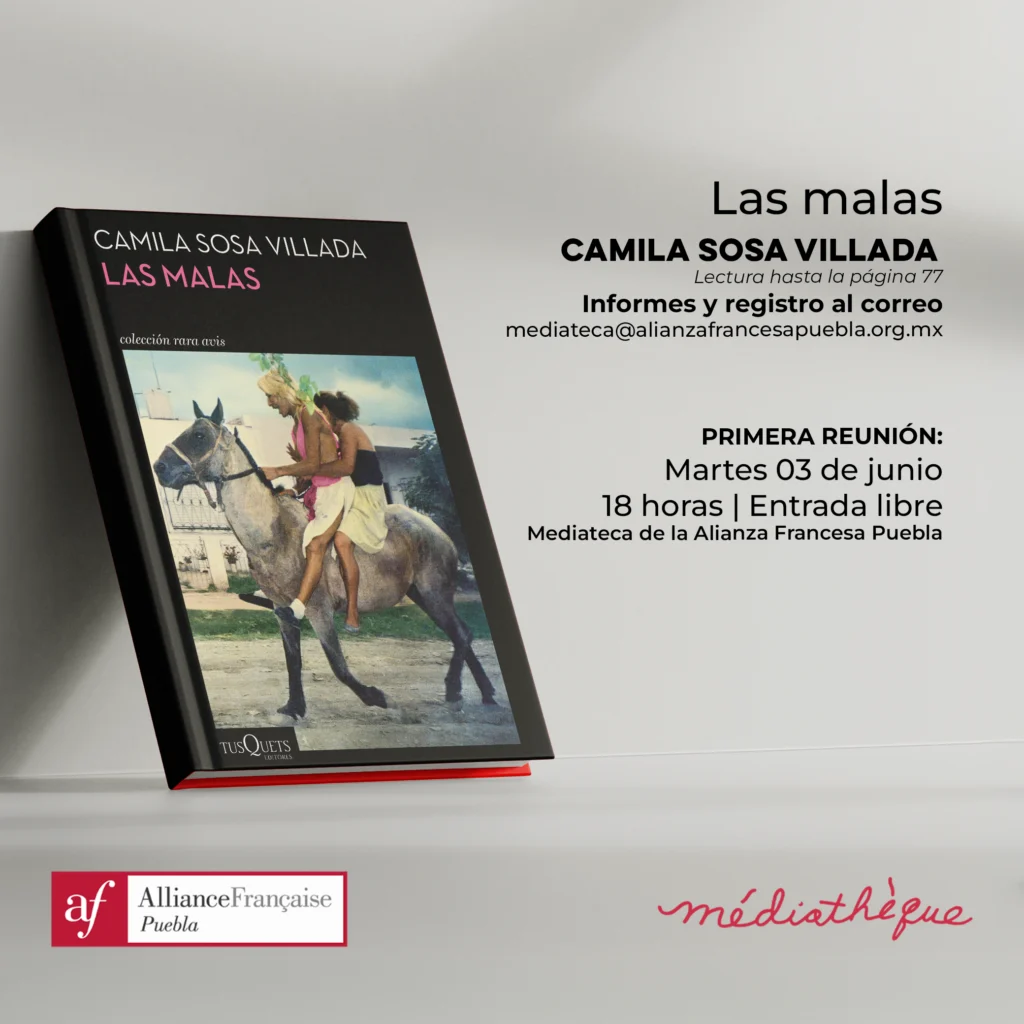 A01 copia